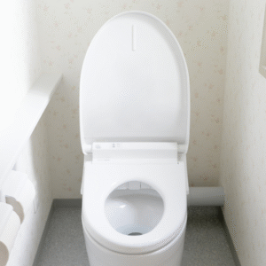 Toilet Installation