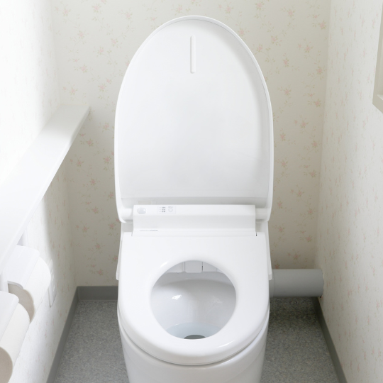 Toilet Installation